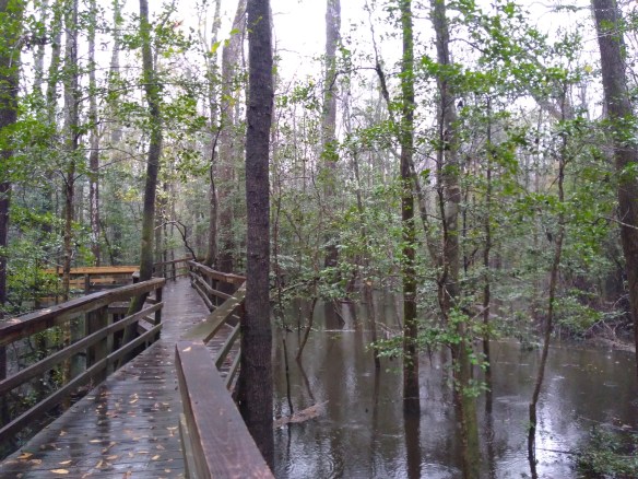 erin's phone 2018 657