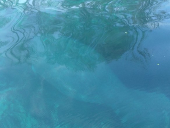 erin's phone 2018 748